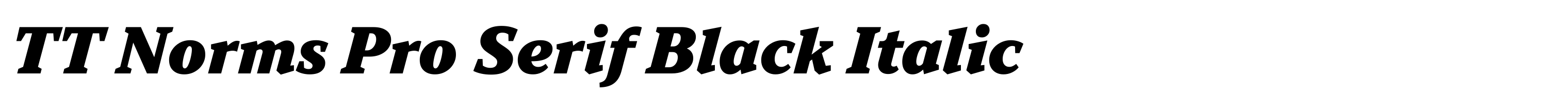 TT Norms Pro Serif Black Italic